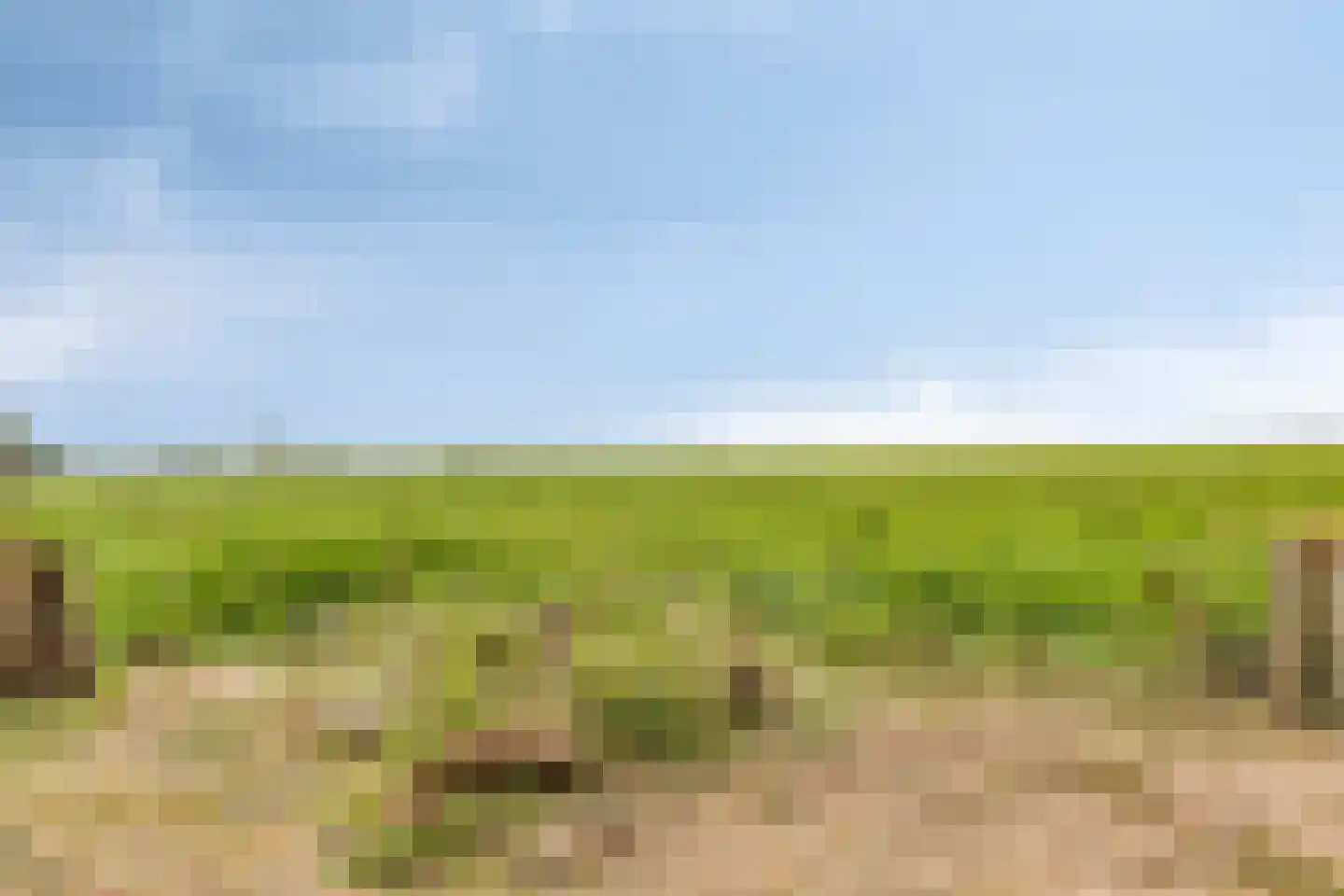 Middenweg 60 Echten thumbnail 41