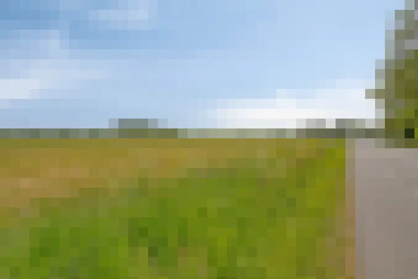 Middenweg 60 Echten thumbnail 43
