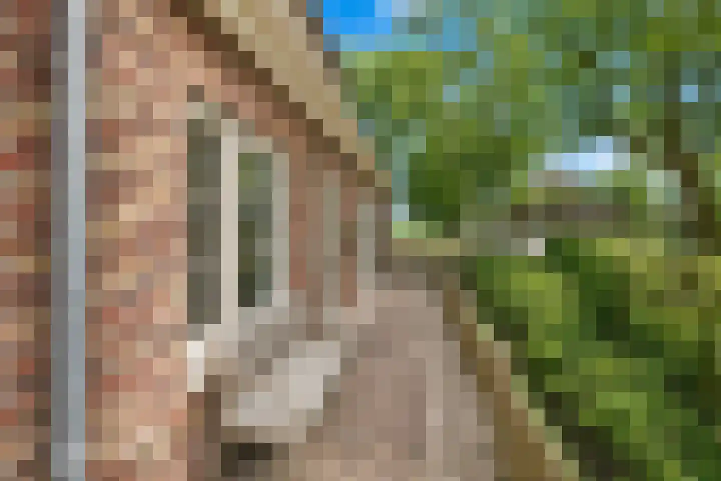 Middenweg 64 Middenbeemster thumbnail 8