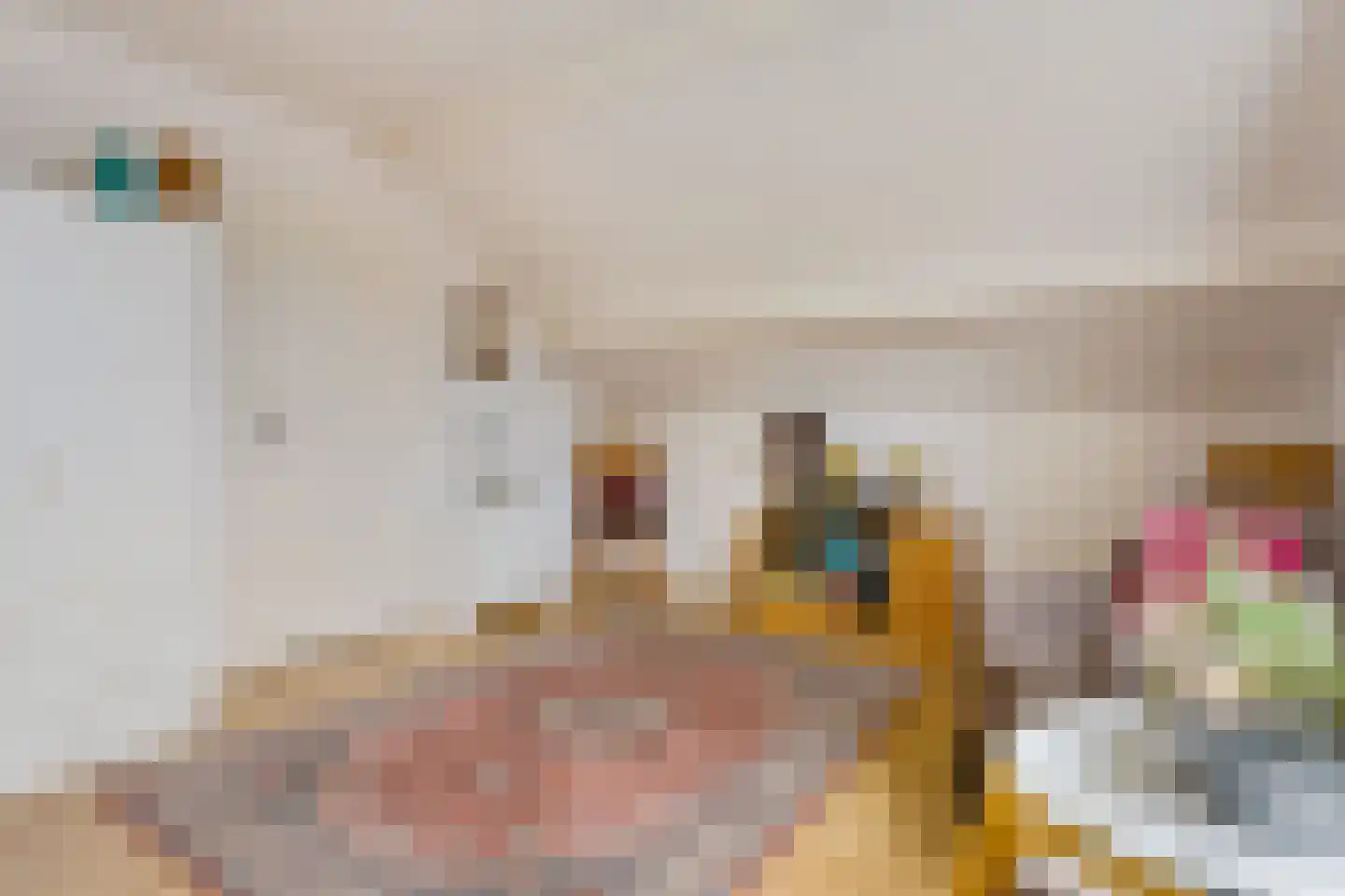 Middenweg 66 Veenoord thumbnail 28