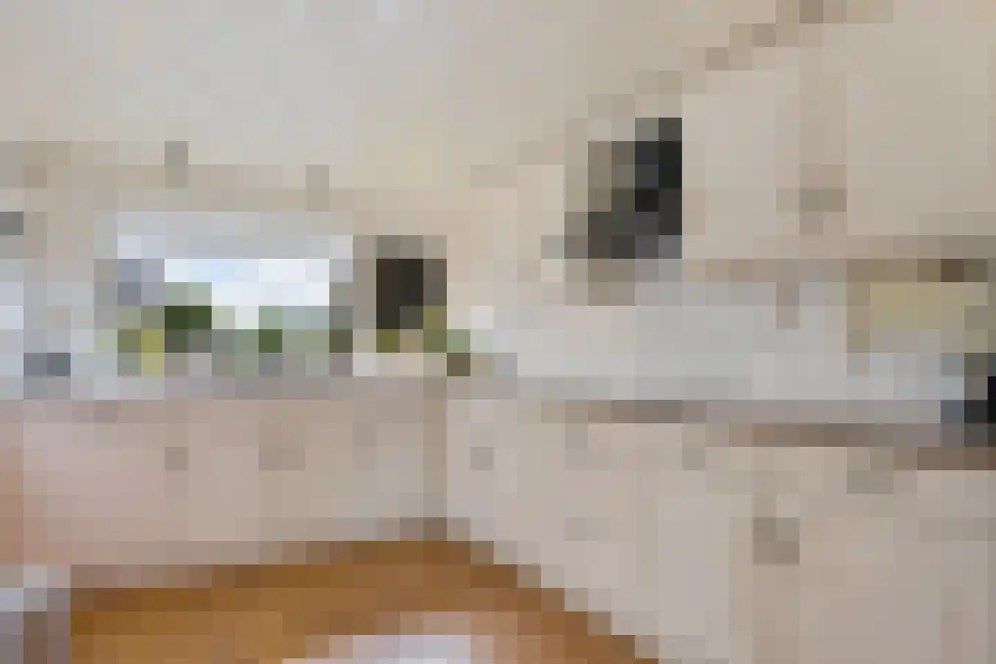Middenweg 66 Veenoord thumbnail 4