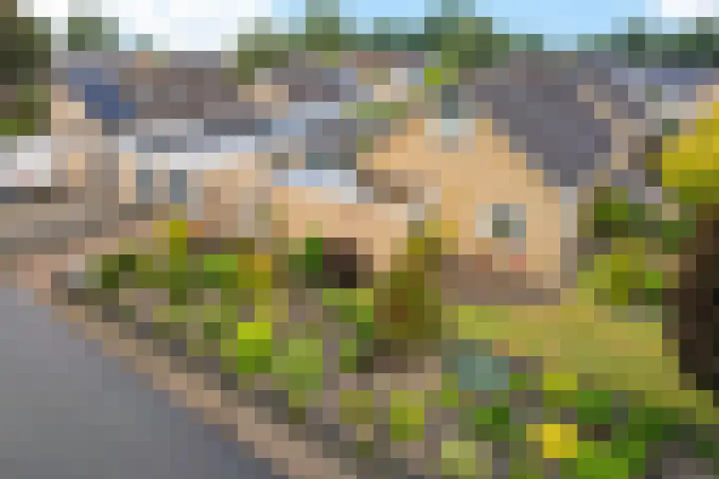 Middenweg 66 Veenoord thumbnail 43