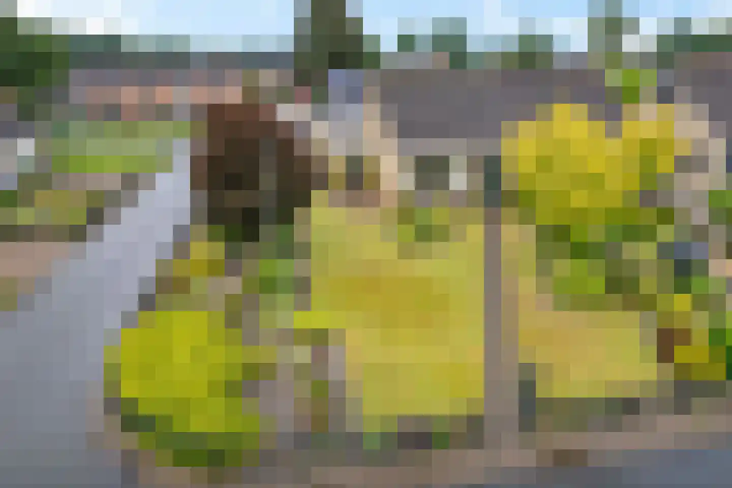 Middenweg 66 Veenoord thumbnail 49