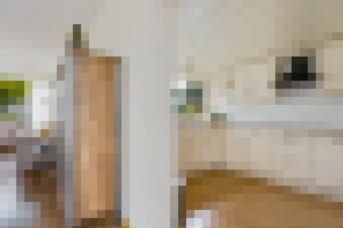 Middenweg 66 Veenoord thumbnail 6