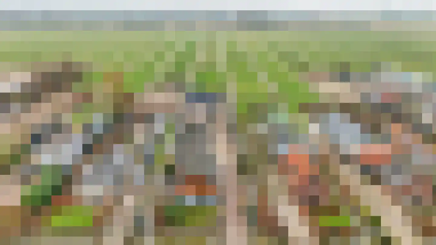 Middenweg 68 Nederhorst den Berg thumbnail 38