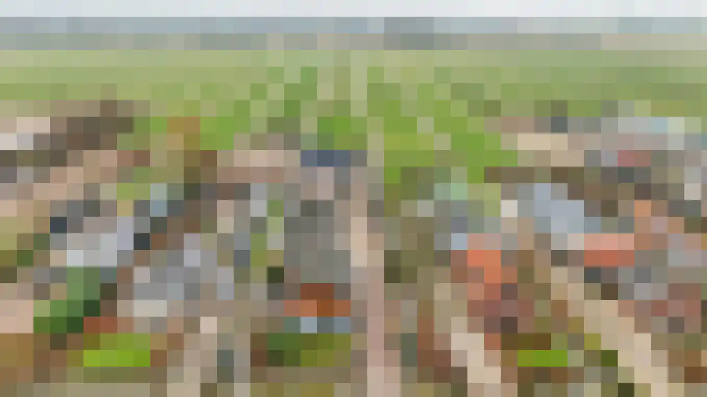Middenweg 68 Nederhorst den Berg thumbnail 38