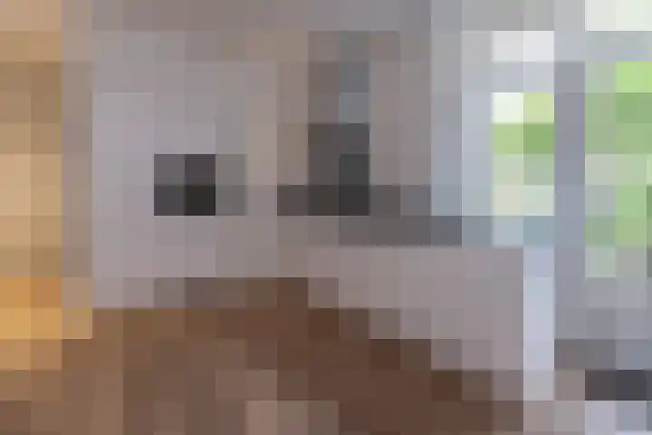 Middenweg 7 b Huizen thumbnail 4