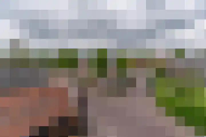 Middenweg 7 f Huizen thumbnail 8