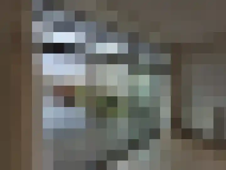 Middenweg 73 D Andijk thumbnail 4