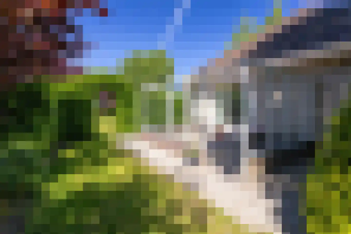 Middenweg 8 a Andijk thumbnail 12