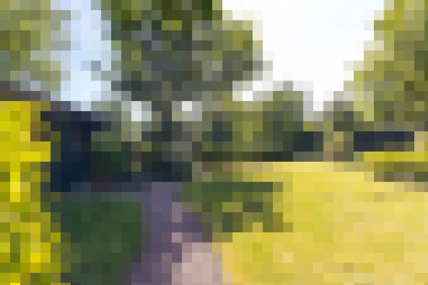 Middenweg 8 a Andijk thumbnail 19