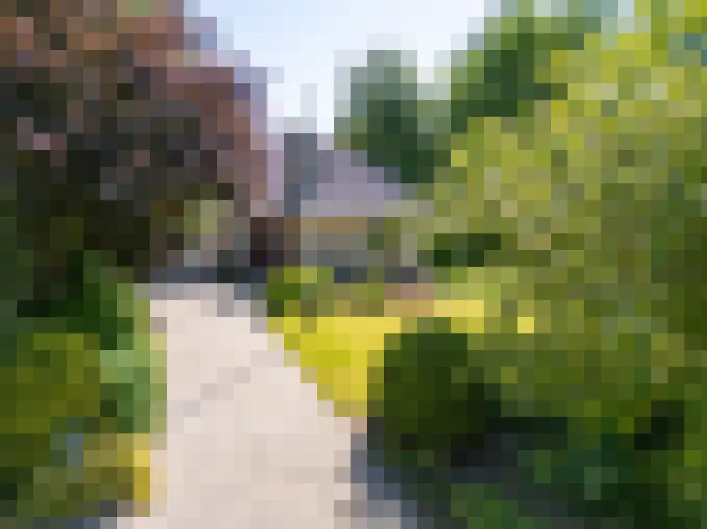 Middenweg 8 a Andijk thumbnail 5