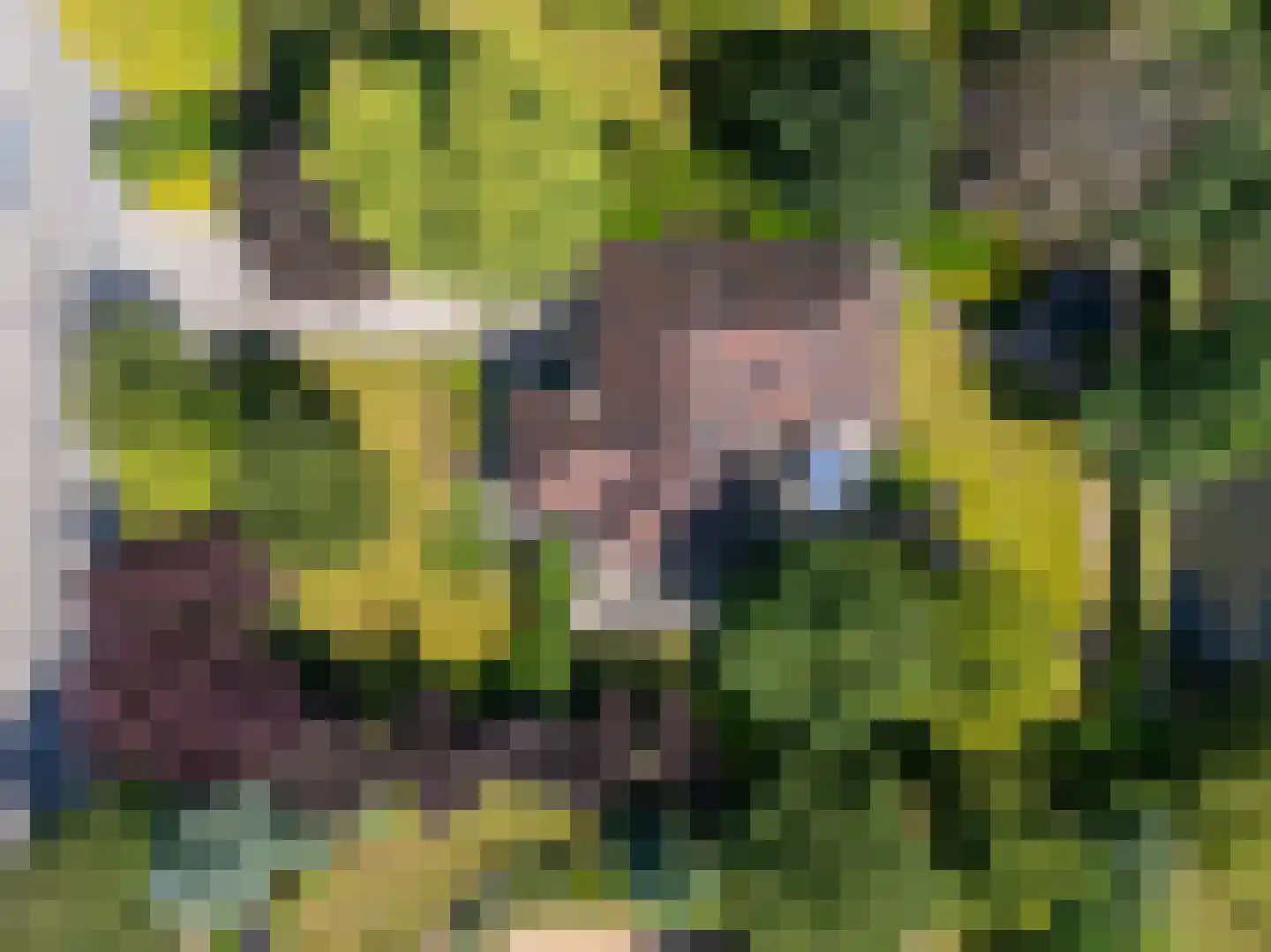 Middenweg 8 a Andijk thumbnail 60