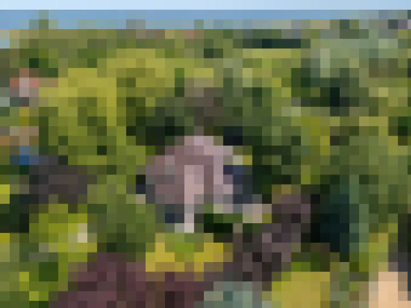 Middenweg 8 a Andijk thumbnail 64