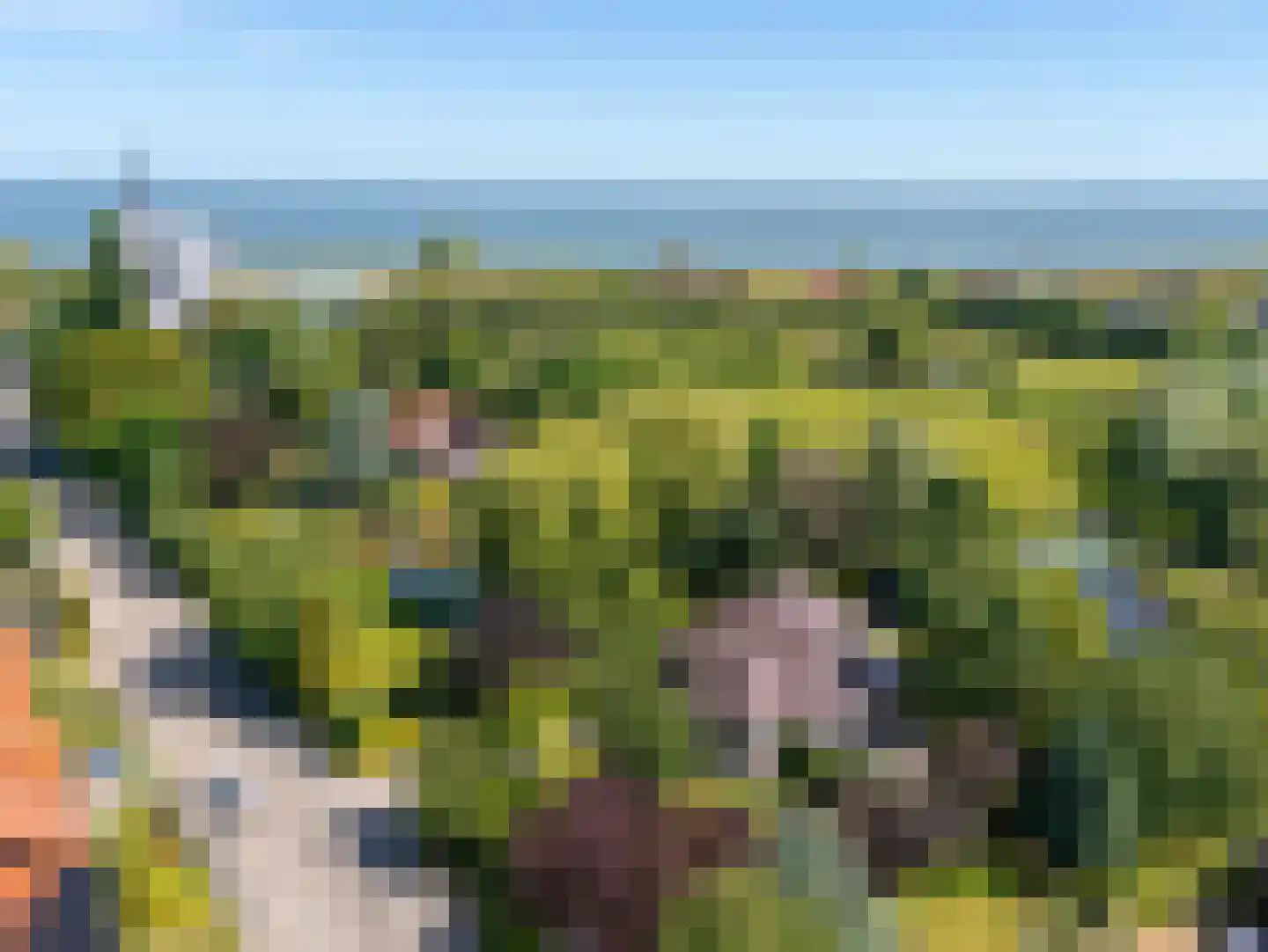 Middenweg 8 a Andijk thumbnail 65