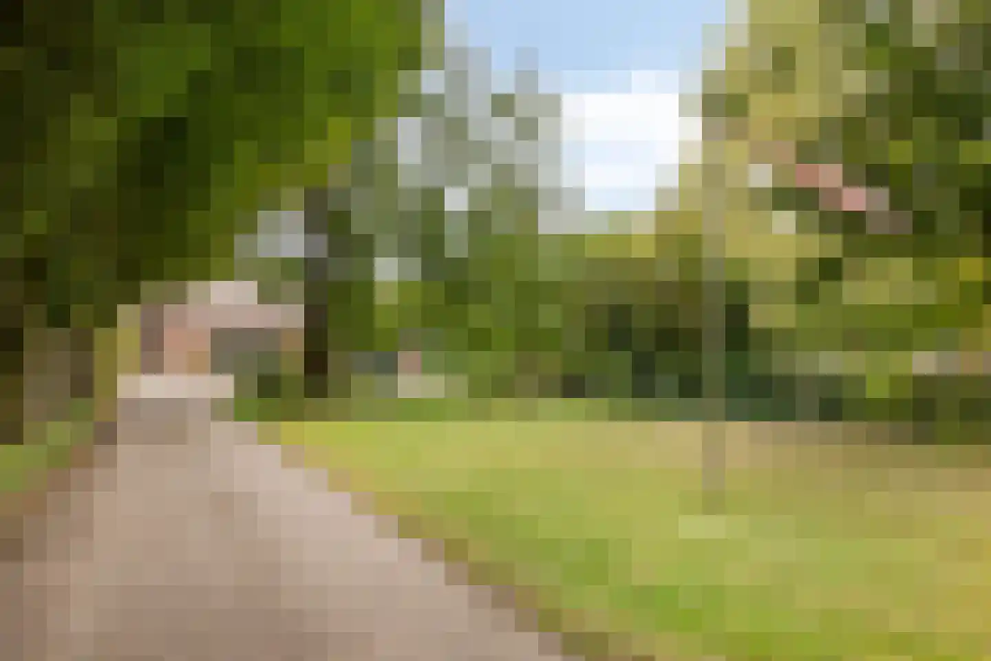 Middenweg 8 Haren thumbnail 5