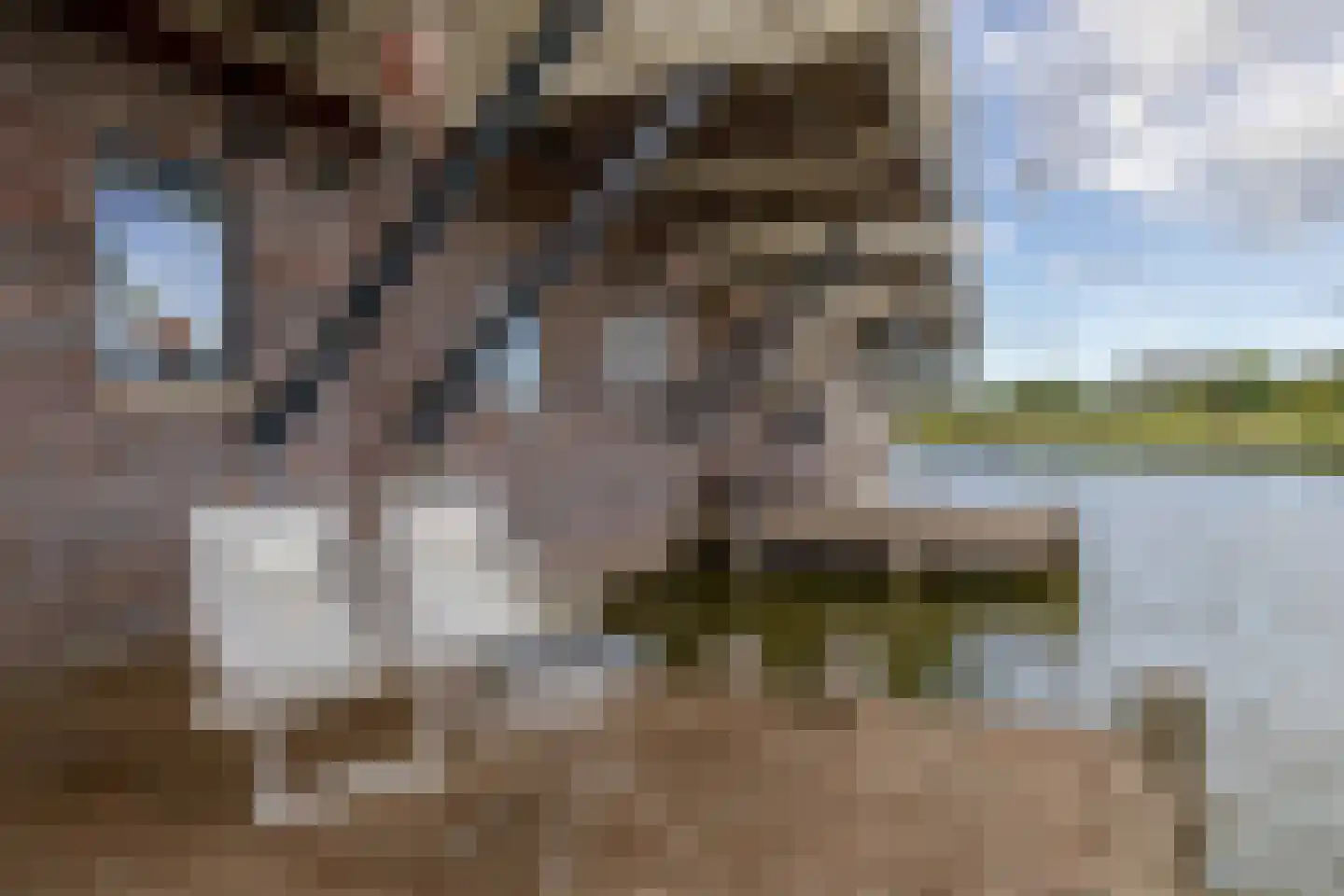 Middenweg 8 Muntendam thumbnail 12