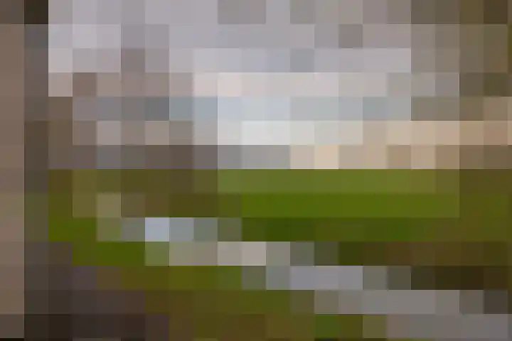 Middenweg 8 Noordbeemster thumbnail 25