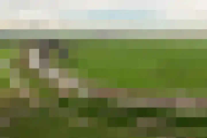 Middenweg 8 Noordbeemster thumbnail 27