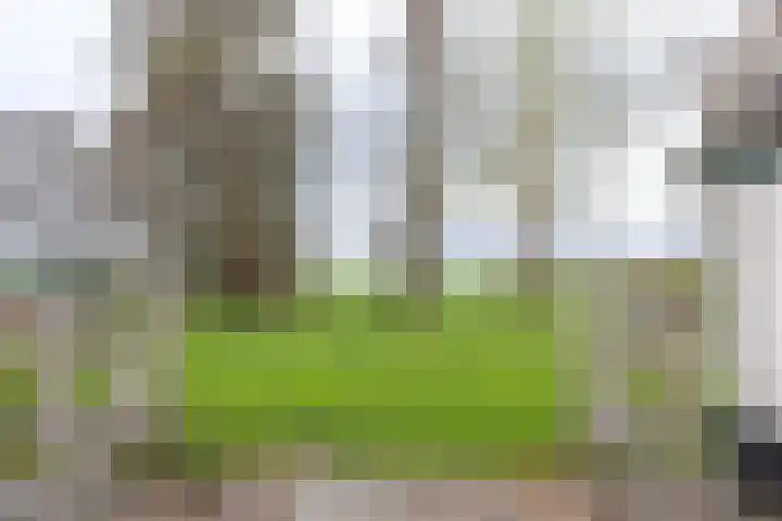 Middenweg 8 Noordbeemster thumbnail 4