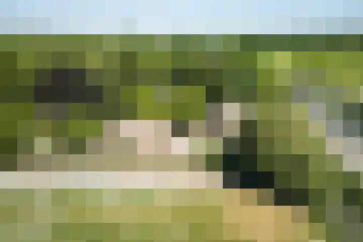 Middenweg 9 Noordbeemster thumbnail 7