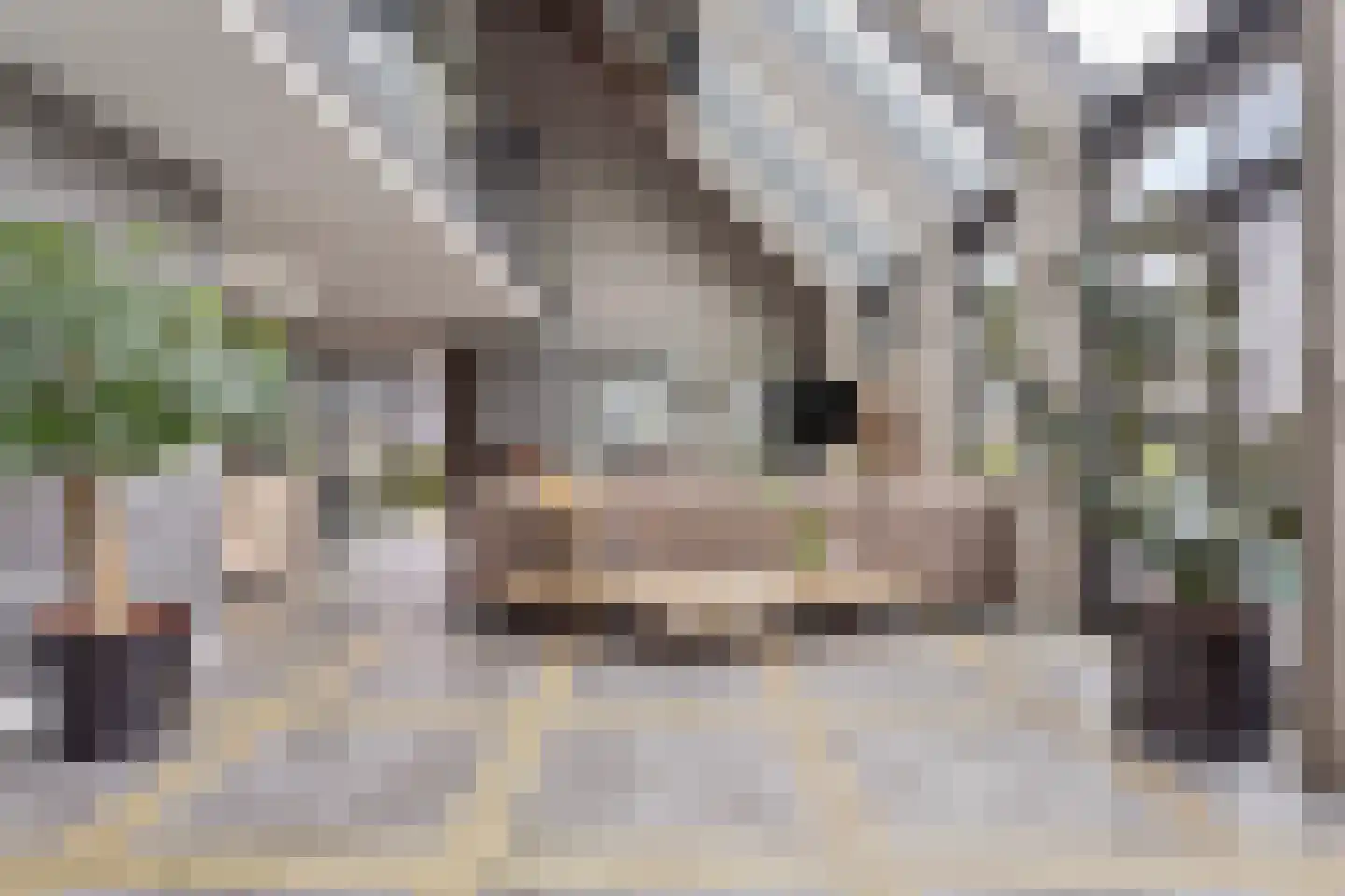 Middenweg 96 Veenoord thumbnail 14