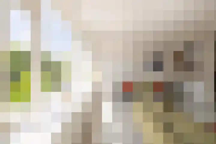 Middenweg 99 2 in Amsterdam