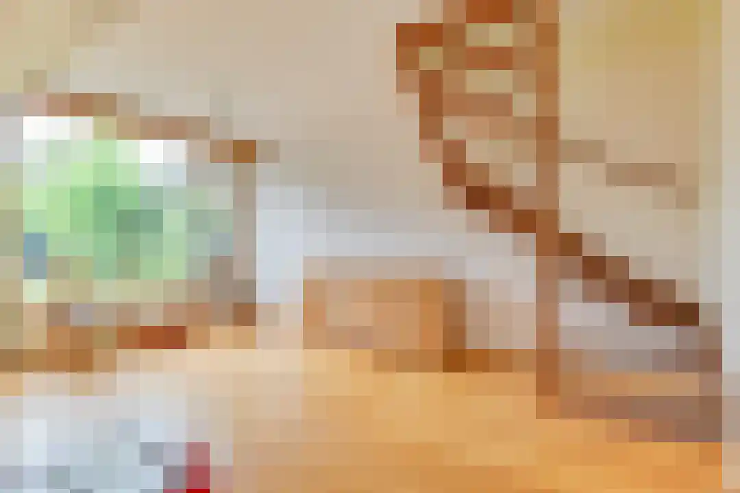 Middenweijdt 60 Schoorl thumbnail 10