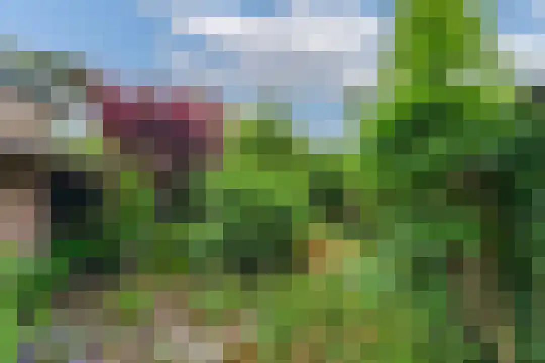 Middenweijdt 60 Schoorl thumbnail 16