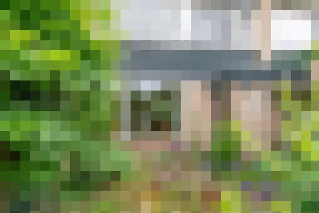 Middenweijdt 60 Schoorl thumbnail 5