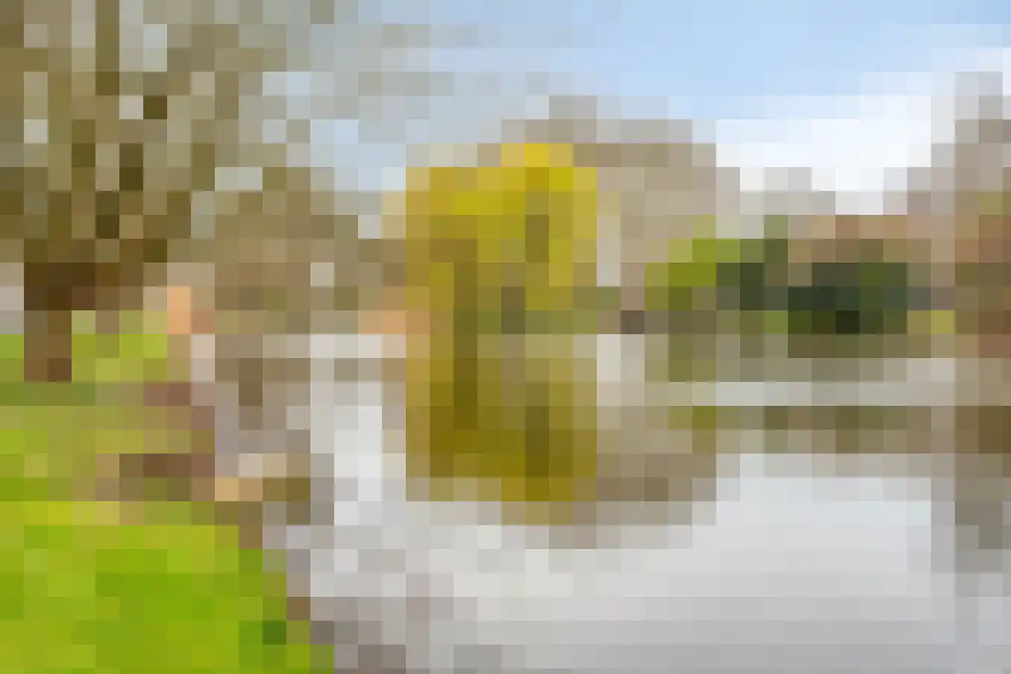 Middenwetering 245 Krimpen aan den IJssel thumbnail 34