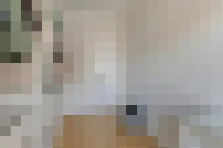 Middenwetering 246 Krimpen aan den IJssel thumbnail 23