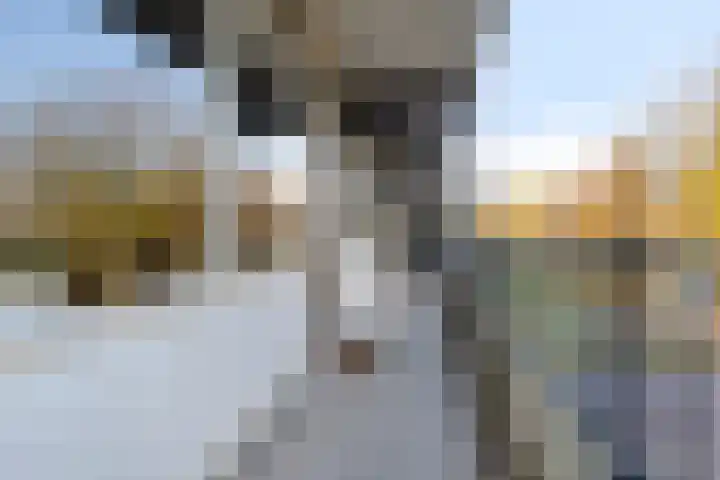 Middenwetering 246 Krimpen aan den IJssel thumbnail 26