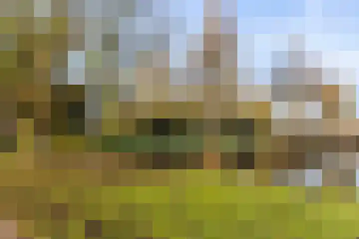 Middenwetering 246 Krimpen aan den IJssel thumbnail 30