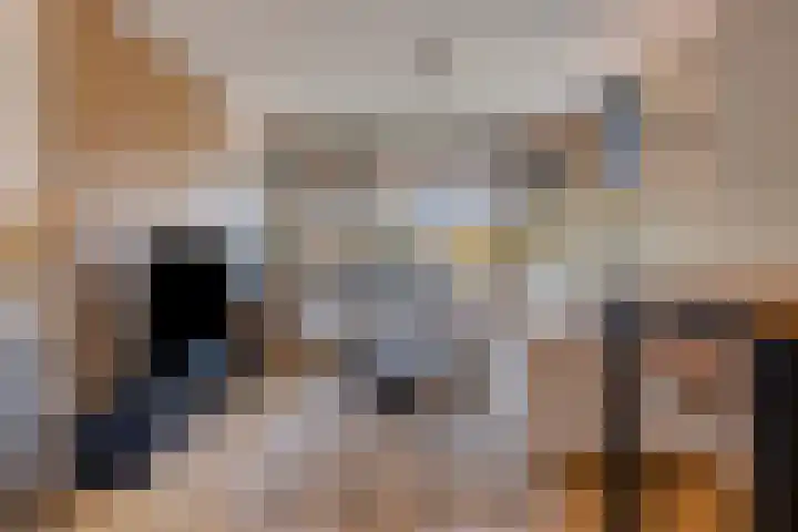 Middenwetering 246 Krimpen aan den IJssel thumbnail 4