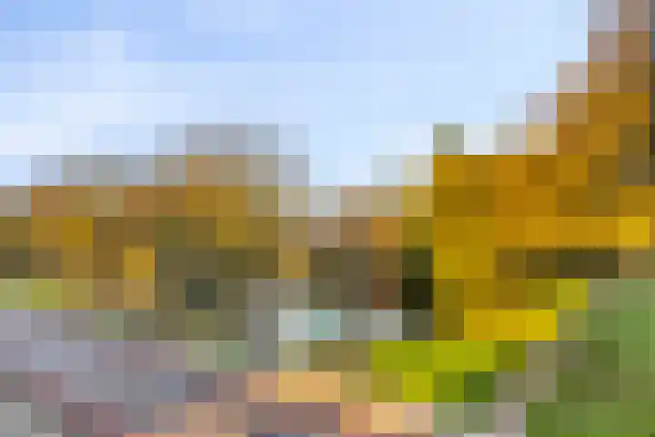 Middenwetering 246 Krimpen aan den IJssel thumbnail 7