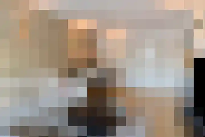 Middenwetering 246 Krimpen aan den IJssel thumbnail 8