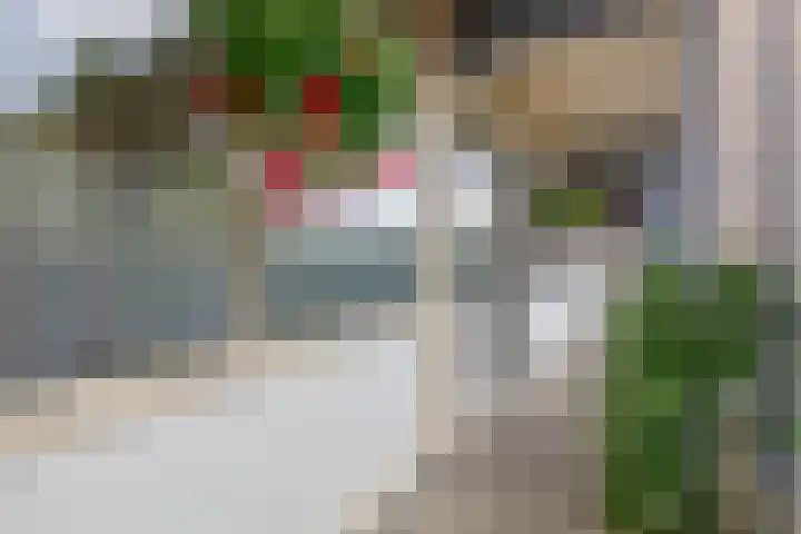 Middenwetering 269 Krimpen aan den IJssel thumbnail 11