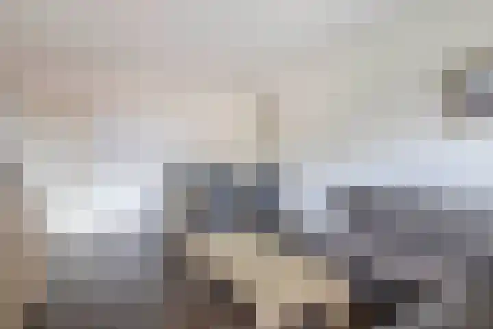 Middenwetering 269 Krimpen aan den IJssel thumbnail 20