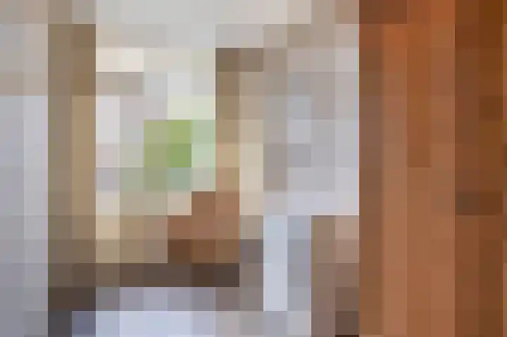 Middenwetering 269 Krimpen aan den IJssel thumbnail 32