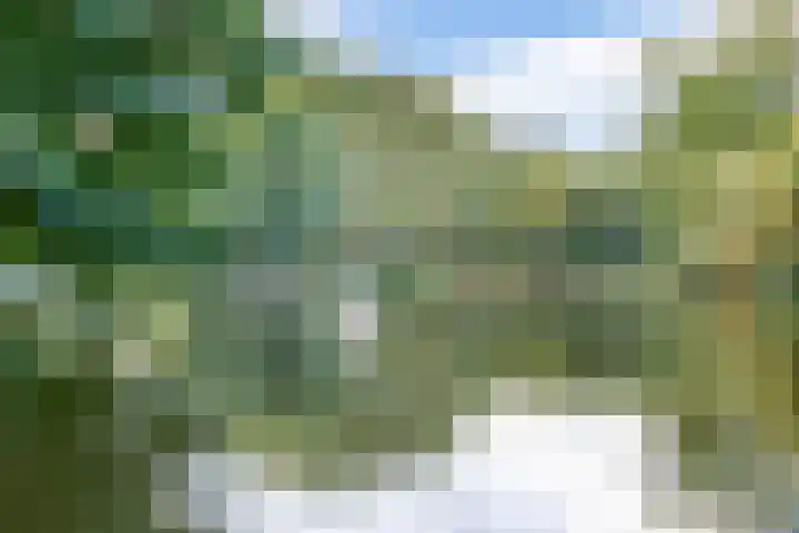 Middenwetering 269 Krimpen aan den IJssel thumbnail 38