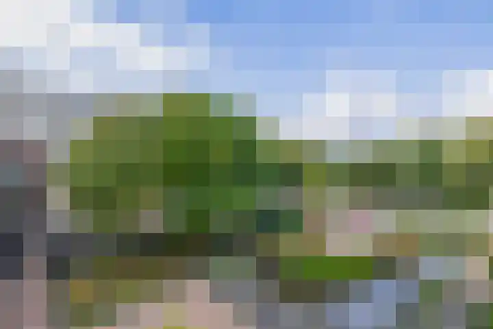 Middenwetering 269 Krimpen aan den IJssel thumbnail 4
