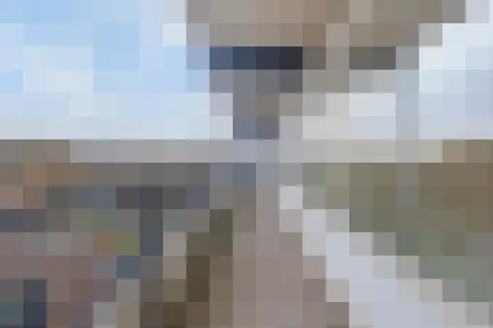 Middenwetering 283 Krimpen aan den IJssel thumbnail 11