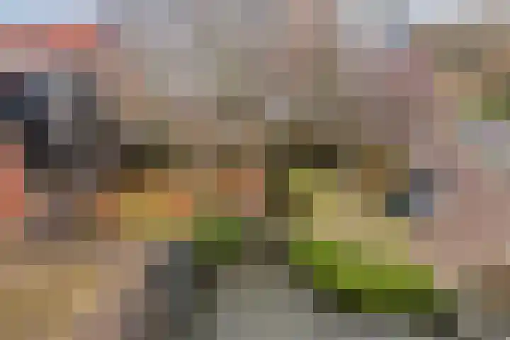 Middenwetering 283 Krimpen aan den IJssel thumbnail 13
