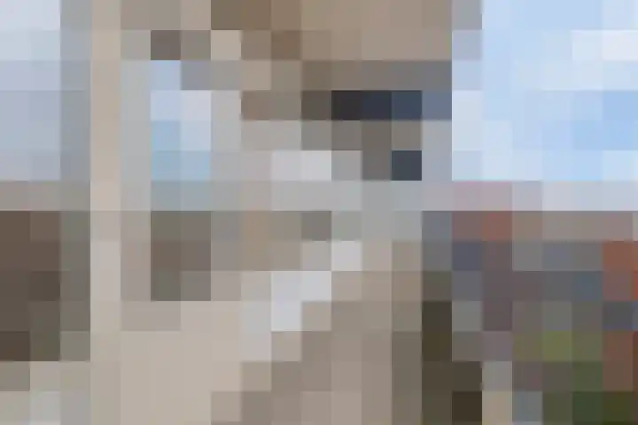 Middenwetering 283 Krimpen aan den IJssel thumbnail 14