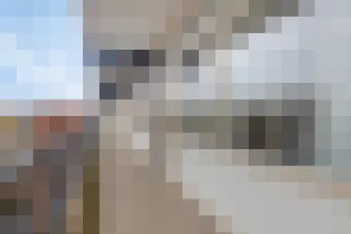 Middenwetering 283 Krimpen aan den IJssel thumbnail 18