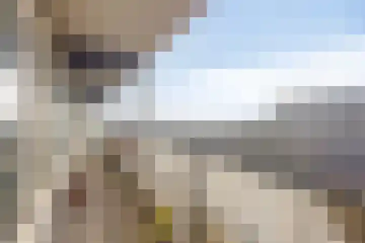 Middenwetering 287 Krimpen aan den IJssel thumbnail 12