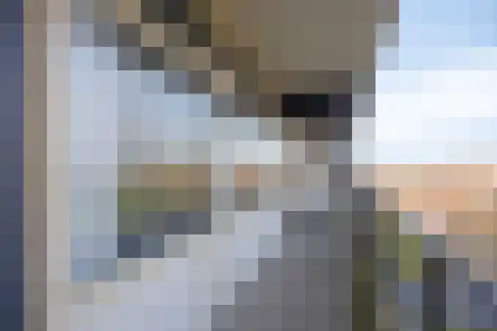 Middenwetering 287 Krimpen aan den IJssel thumbnail 19