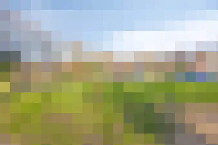 Middenwetering 287 Krimpen aan den IJssel thumbnail 25