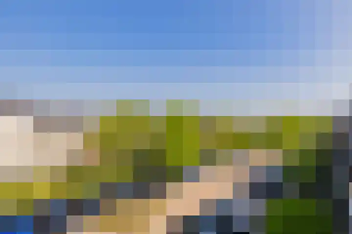 Midgard 30 Beverwijk thumbnail 51